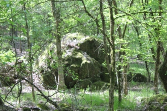 Karen Campbell, Mt. Vernon, TX
